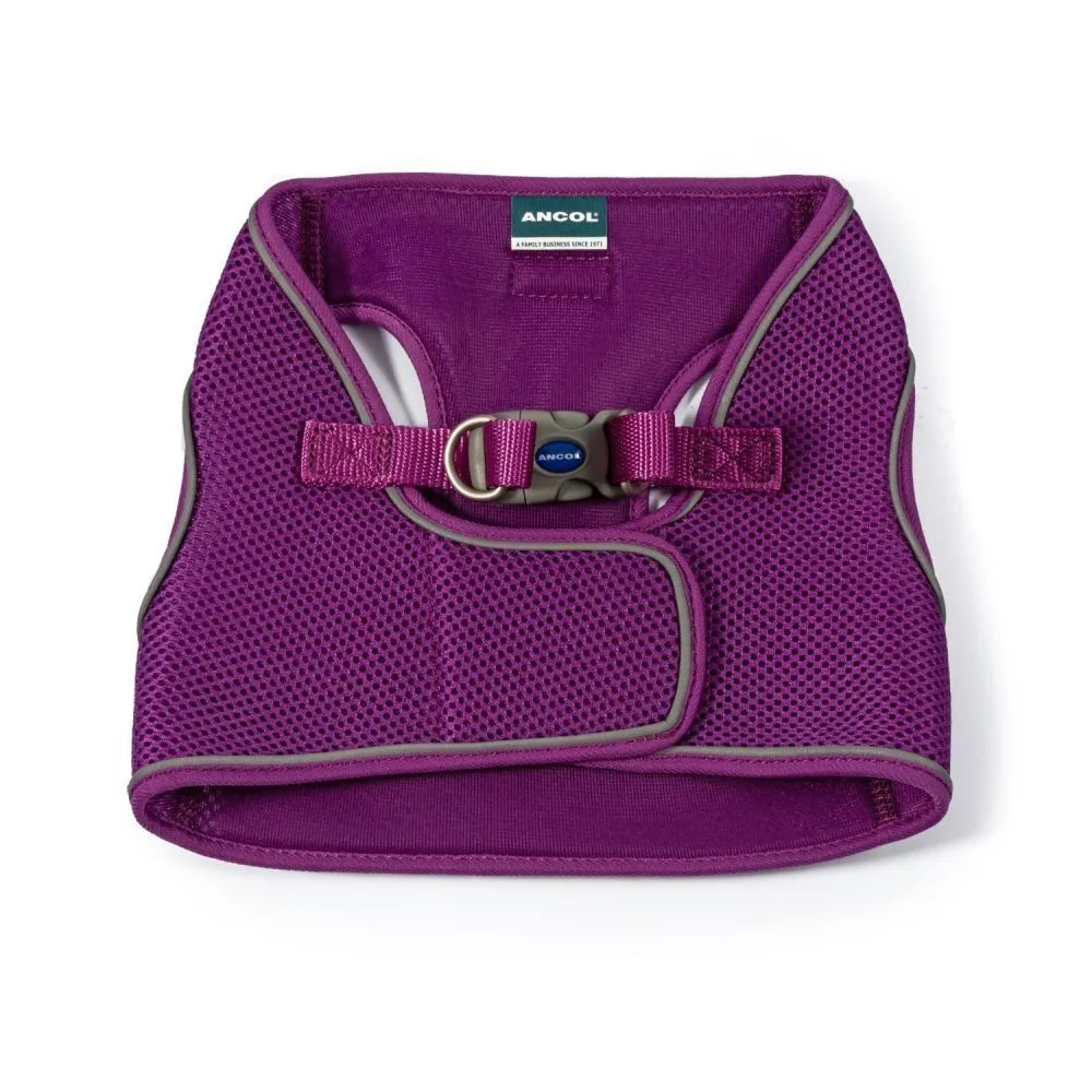 Ancol Viva Large (54-60cm) Purple Step-In Harness