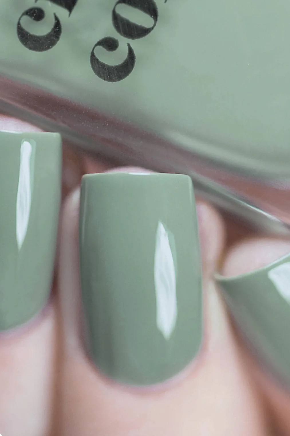 Cirque Nail Polish (Central Park After Dark)